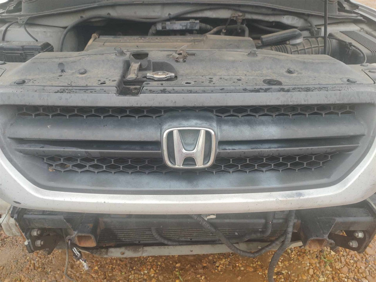 2003 2004 2005 Honda Pilot Grille