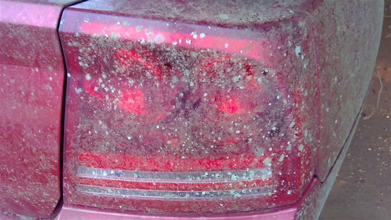 2006 2007 2008 Dodge Charger Passenger Side Right Tail Light Lamp Assembly R