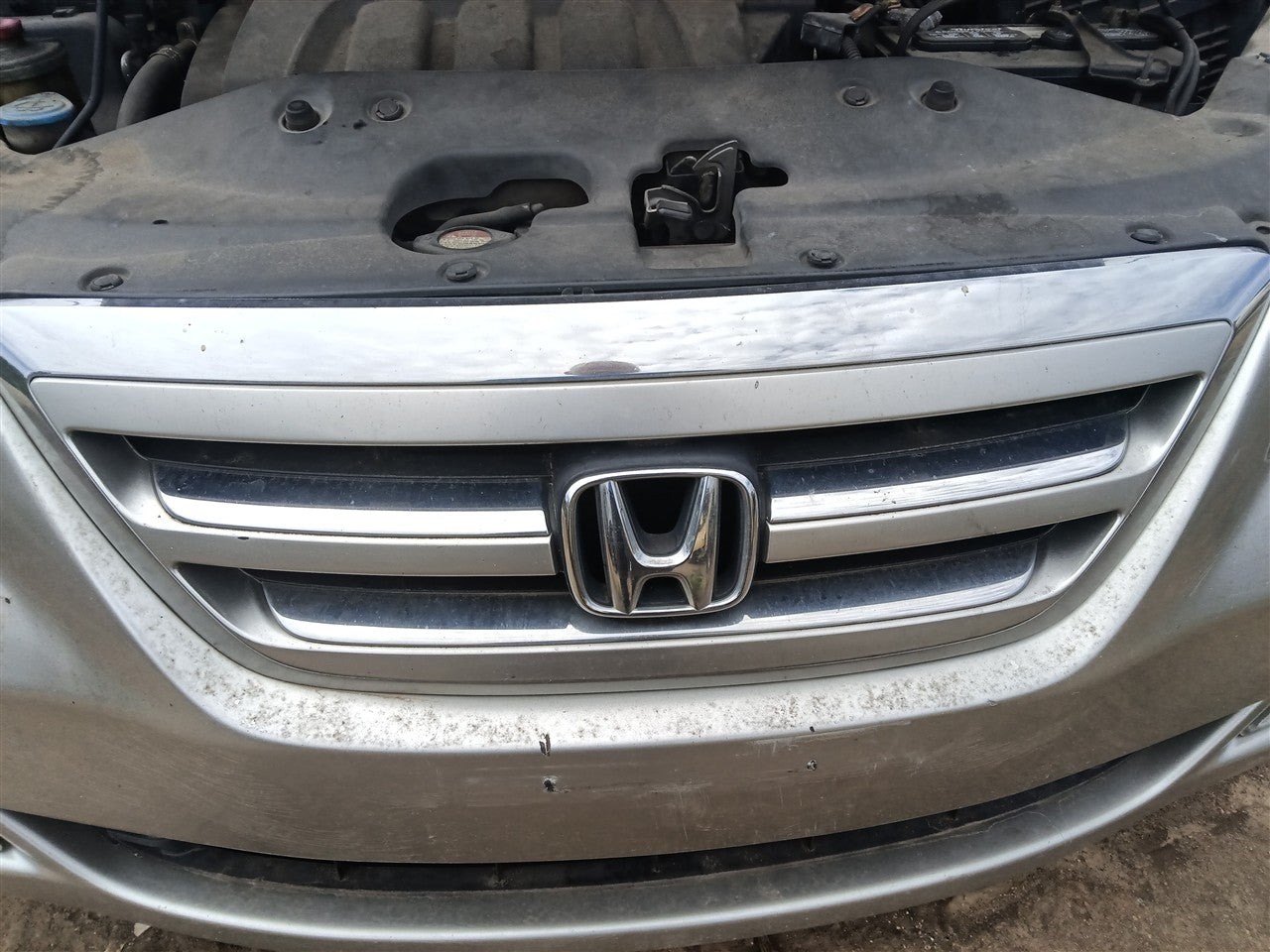 2005 2006 2007 Honda Odyssey Grille