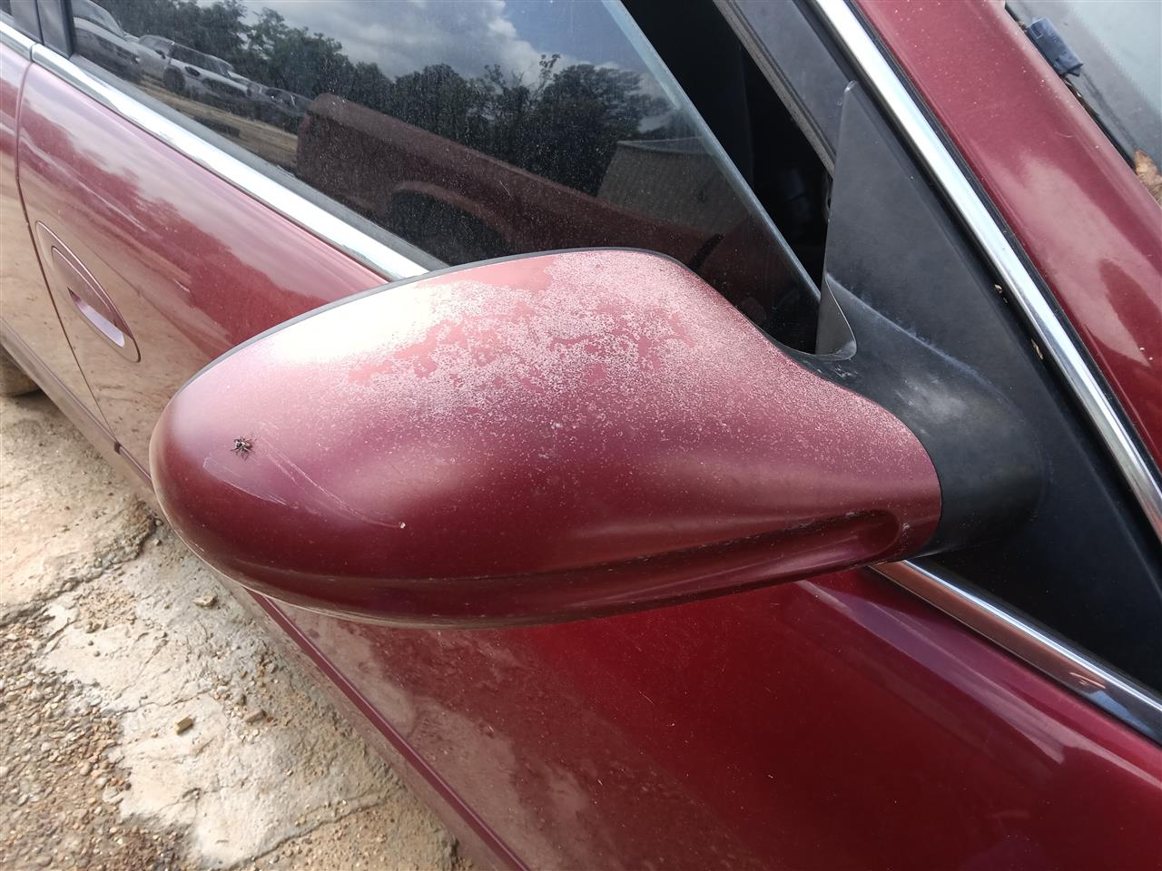 2005 2006 Nissan Altima Right Passenger Side View Door Mirror Power non heated R