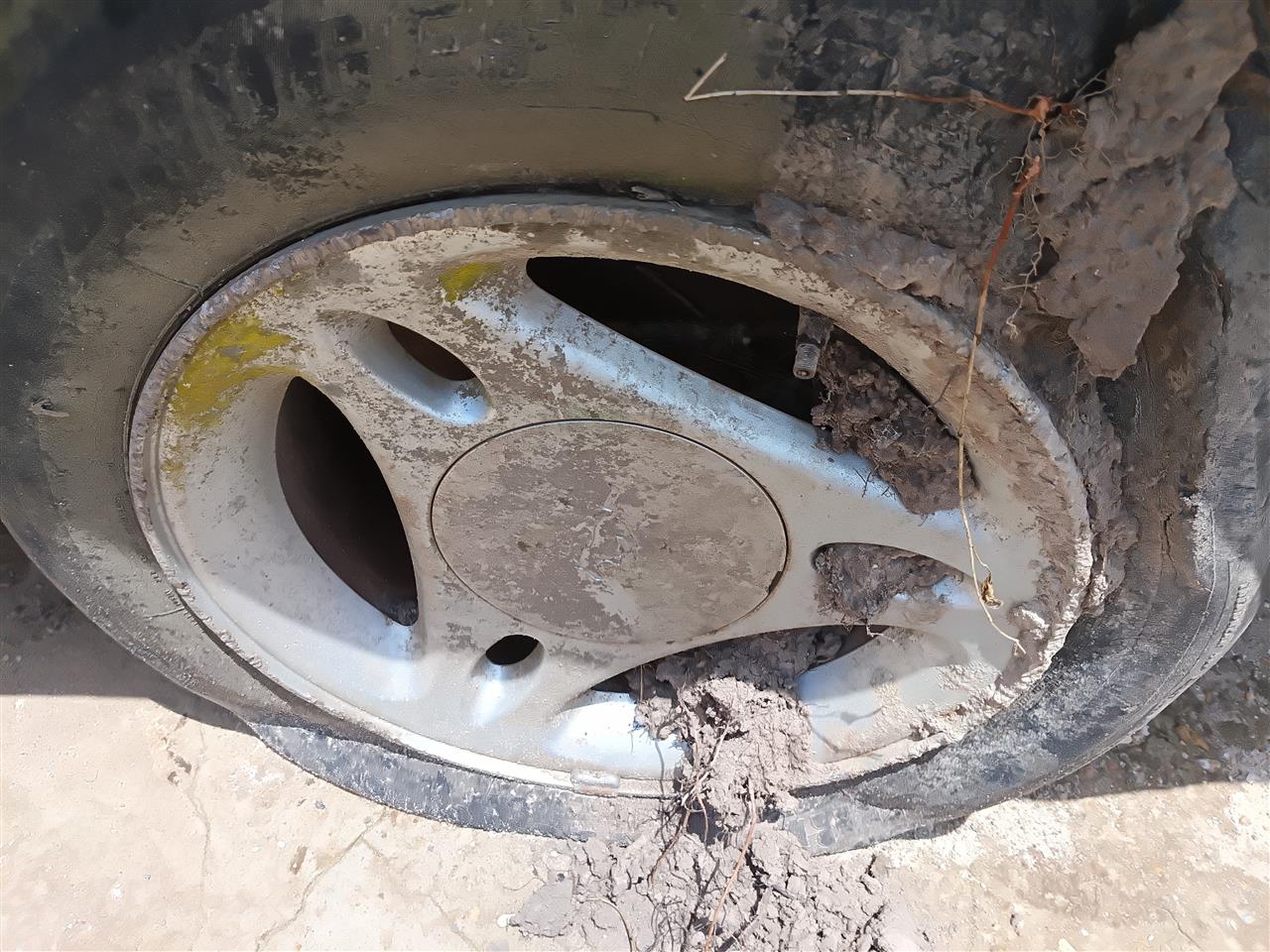 1996 thru 2000 Ford Mustang Wheel Rim 15x7 3 spoke