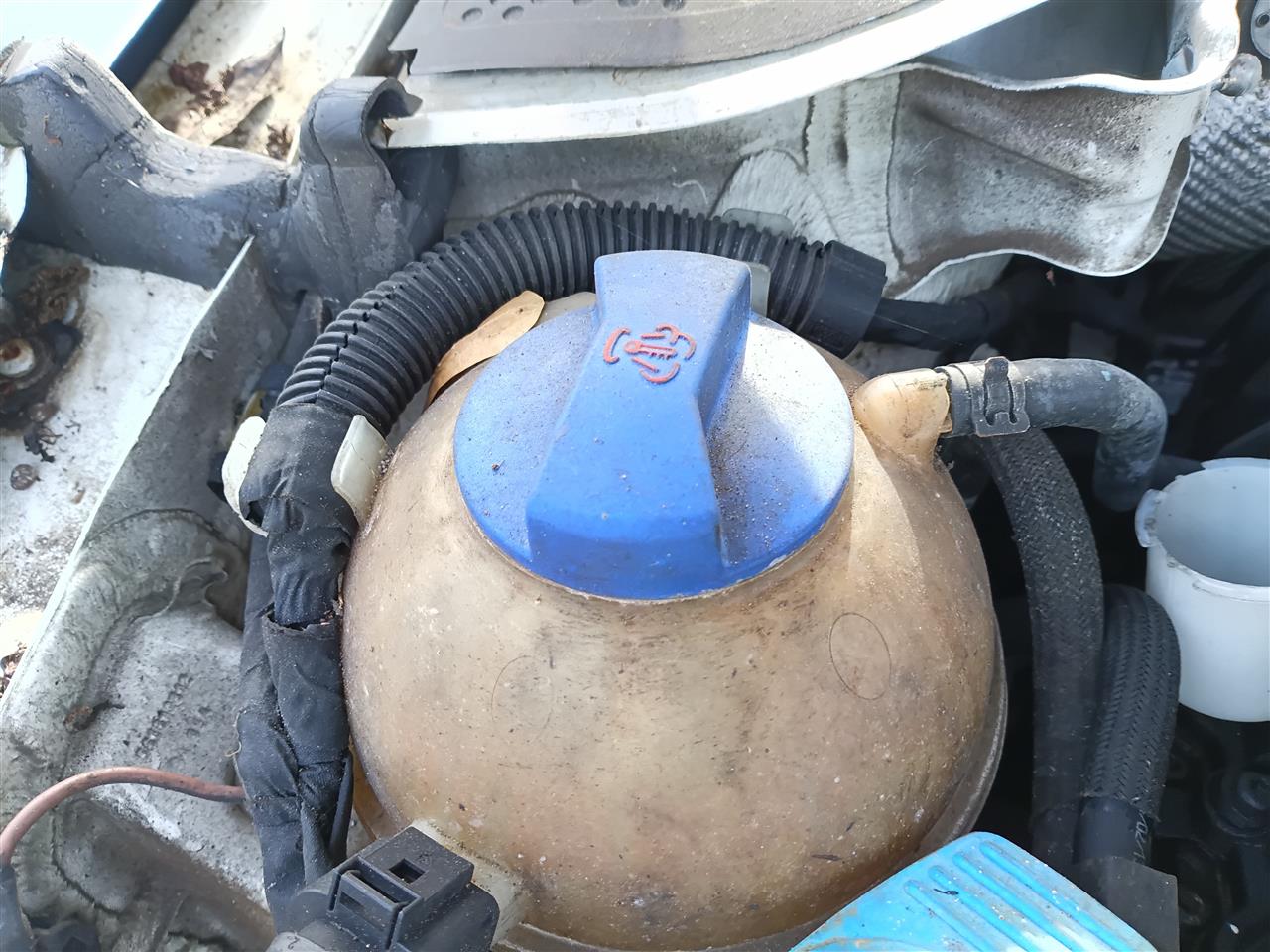 2005 thru 2022 Volkswagen Passat, Volkswagen Jetta, Volkswagen Jetta GLI, Volkswagen EOS and 9 more Coolant Overflow