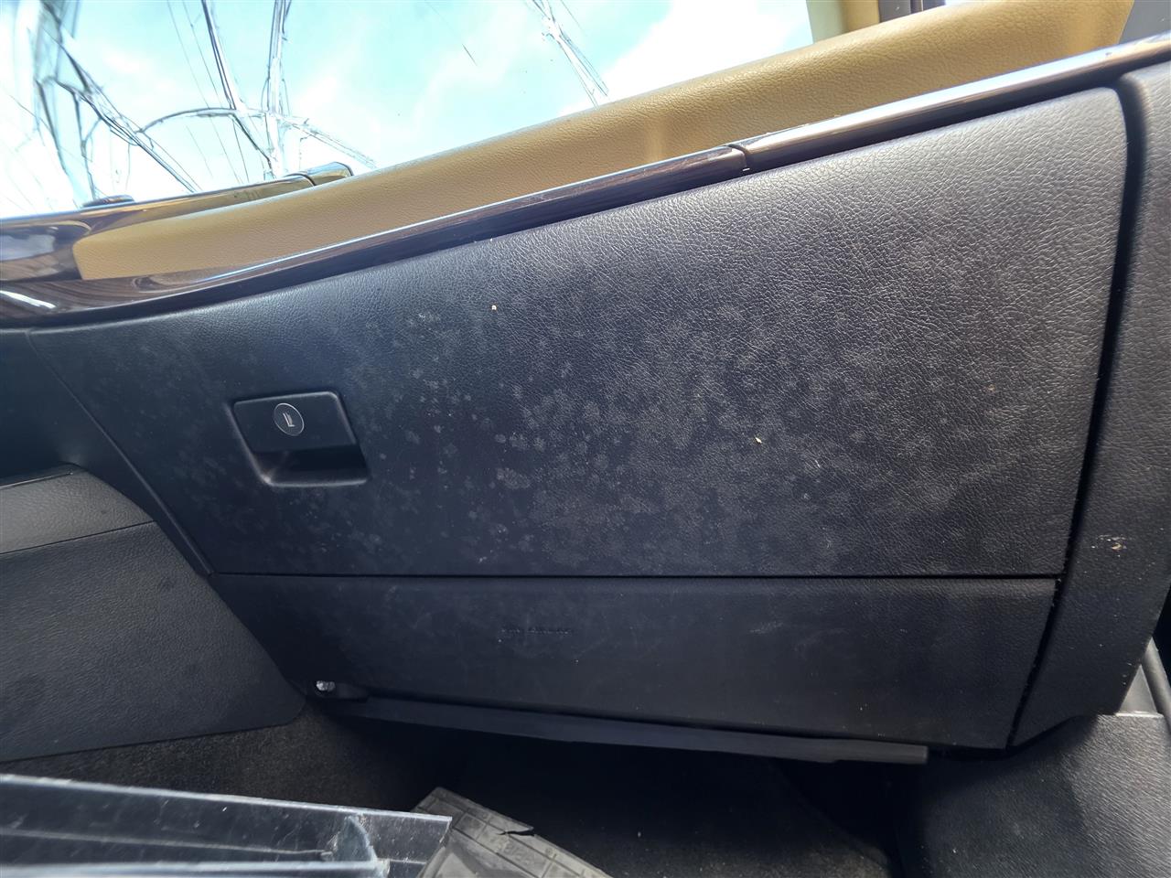 Used OEM Glove Box Compartment from 2015 Toyota Avalon