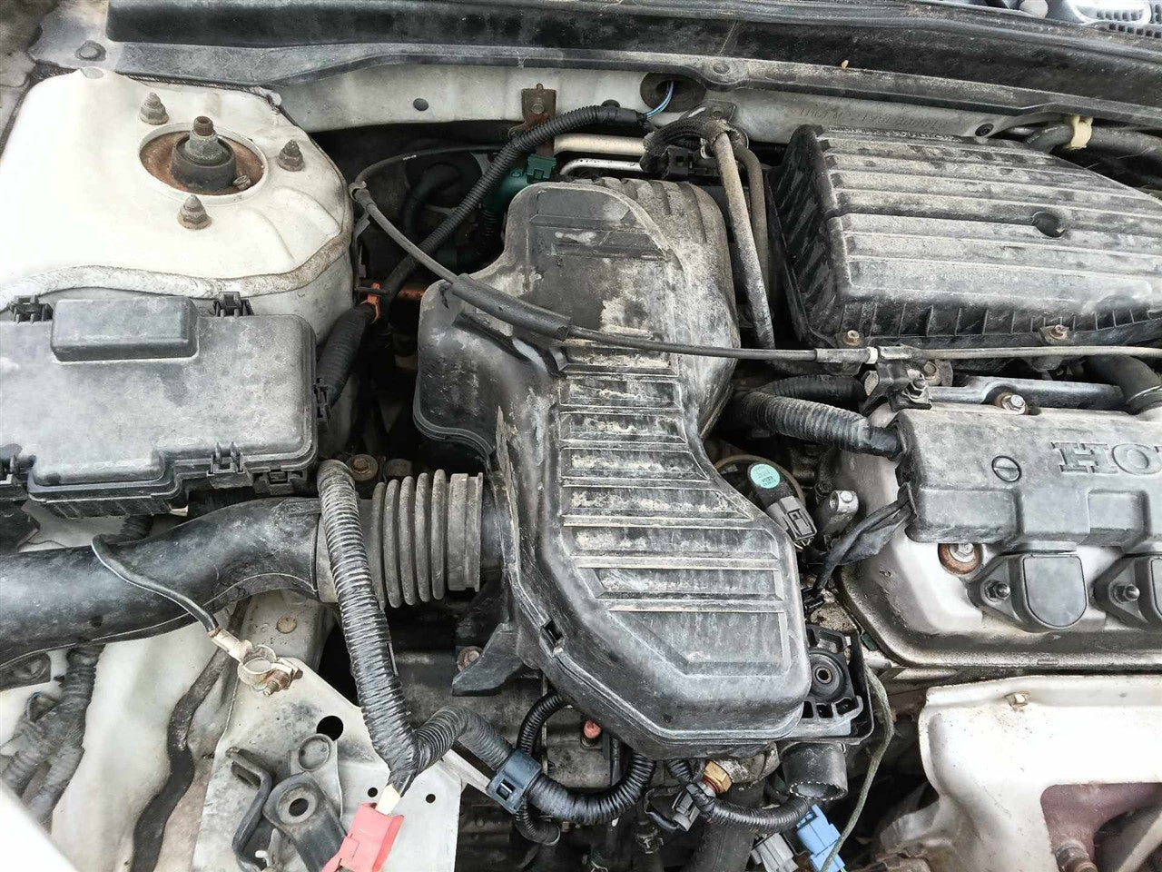2001 thru 2005 Honda Civic, Acura EL Air Cleaner Intake Filter Box 1.7L