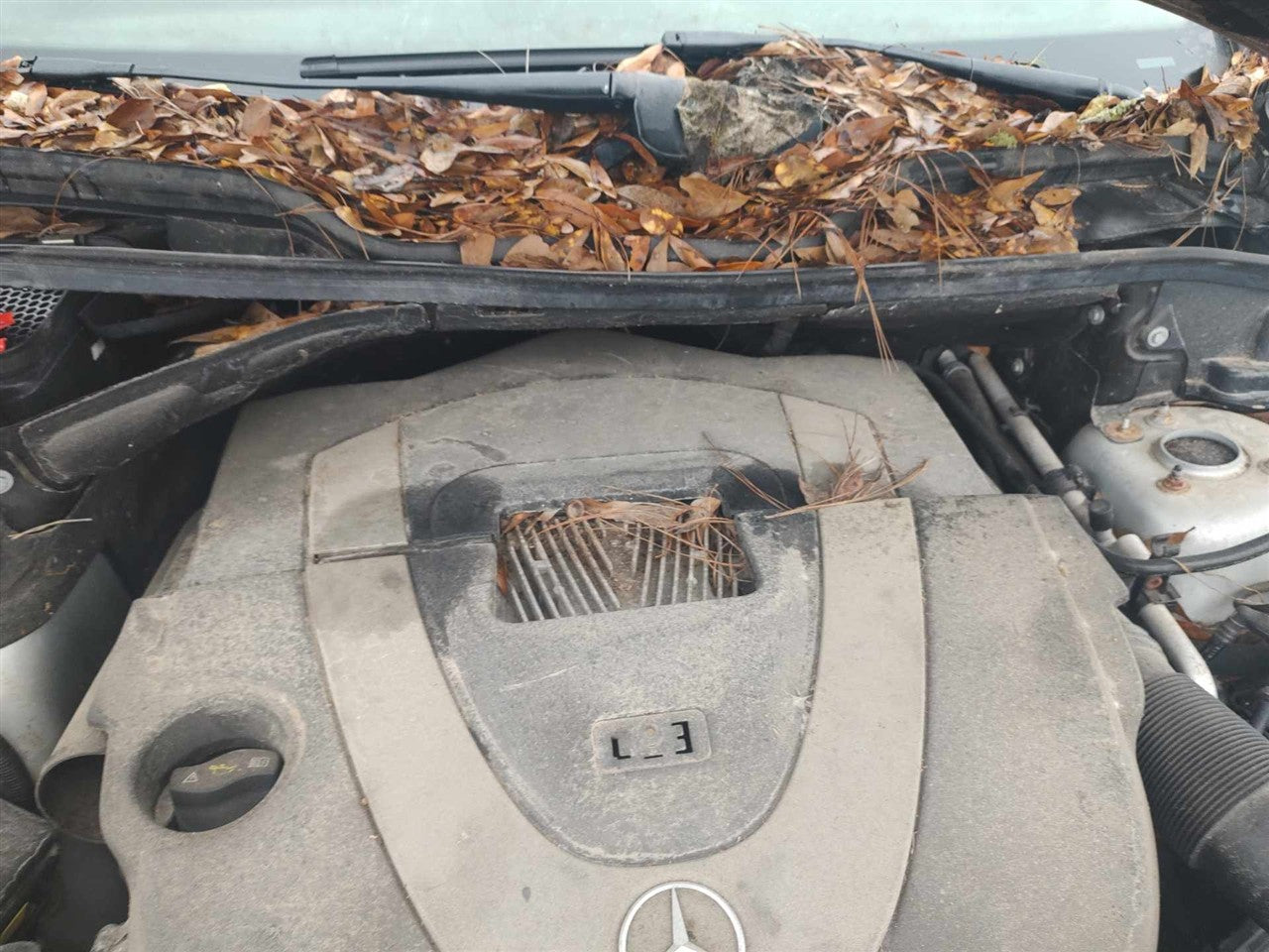 2007 thru 2012 Mercedes Benz Mercedes GL Class, Mercedes Benz Mercedes ML Class, Mercedes Benz Mercedes R Class Air Cleaner