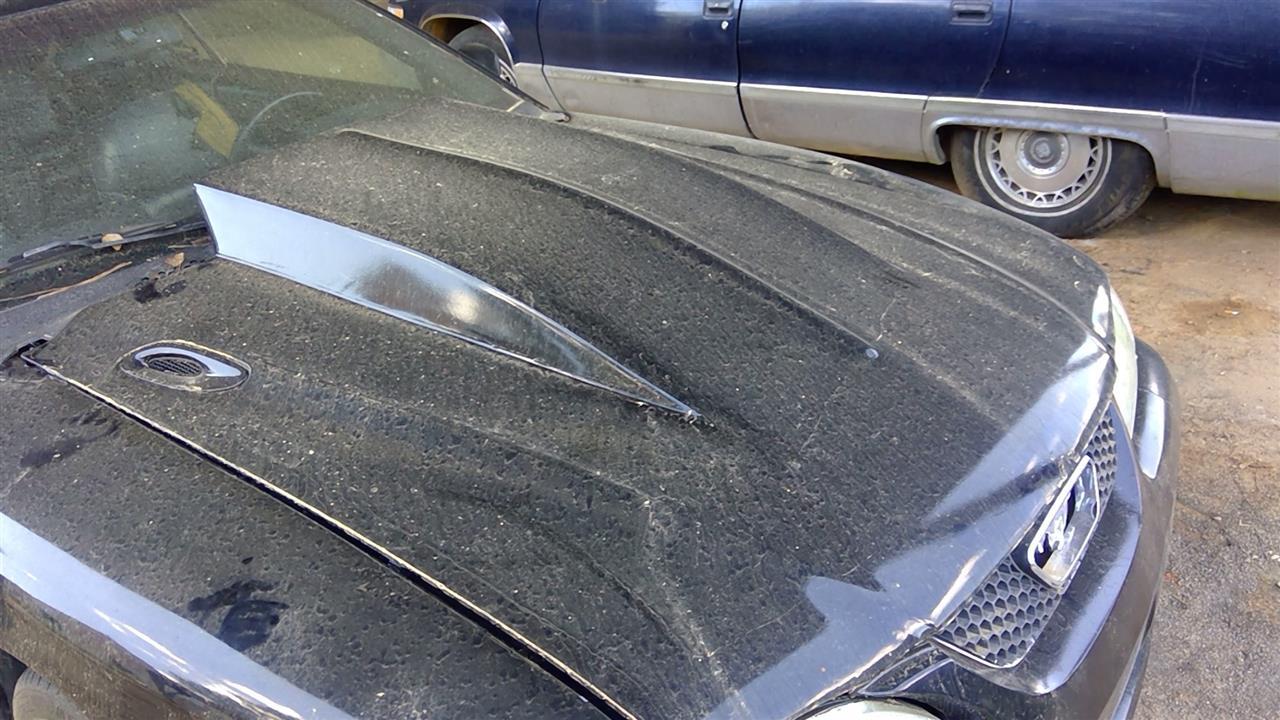 1994 thru 1998 Ford Mustang Hood