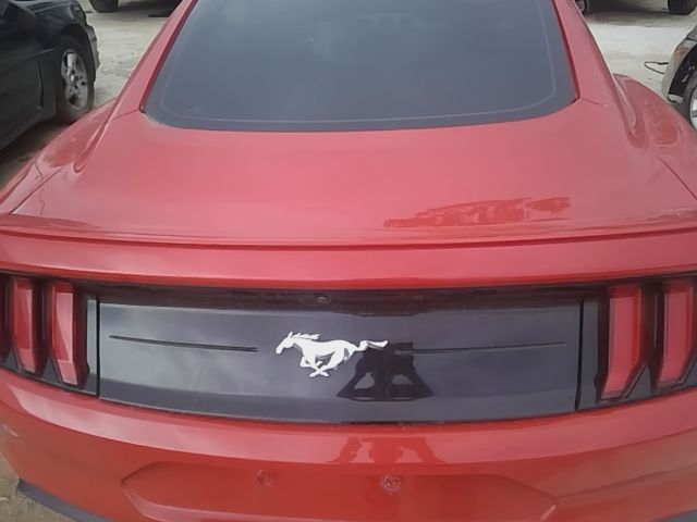 2015 thru 2023 Ford Mustang Decklid Tailgate