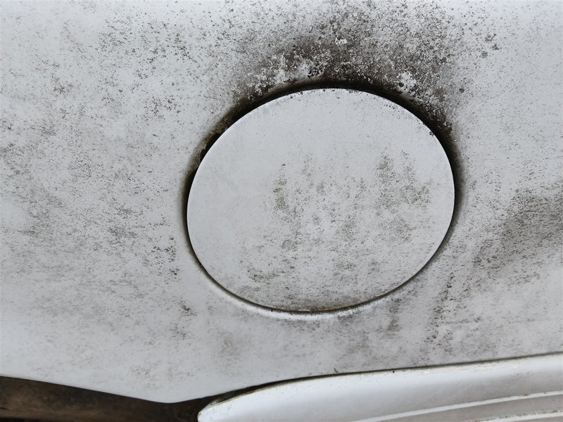 2002 Ford Crown Victoria Fuel Filler Gas Door Lid