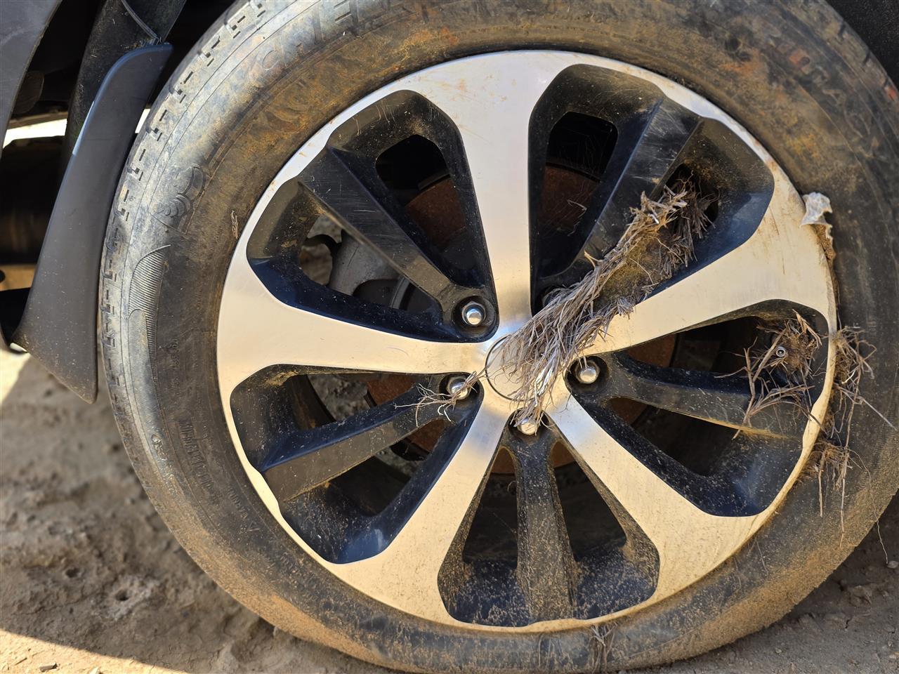 2016 2017 2018 KIA Sorento Wheel Rim 18x7 1 2 alloy