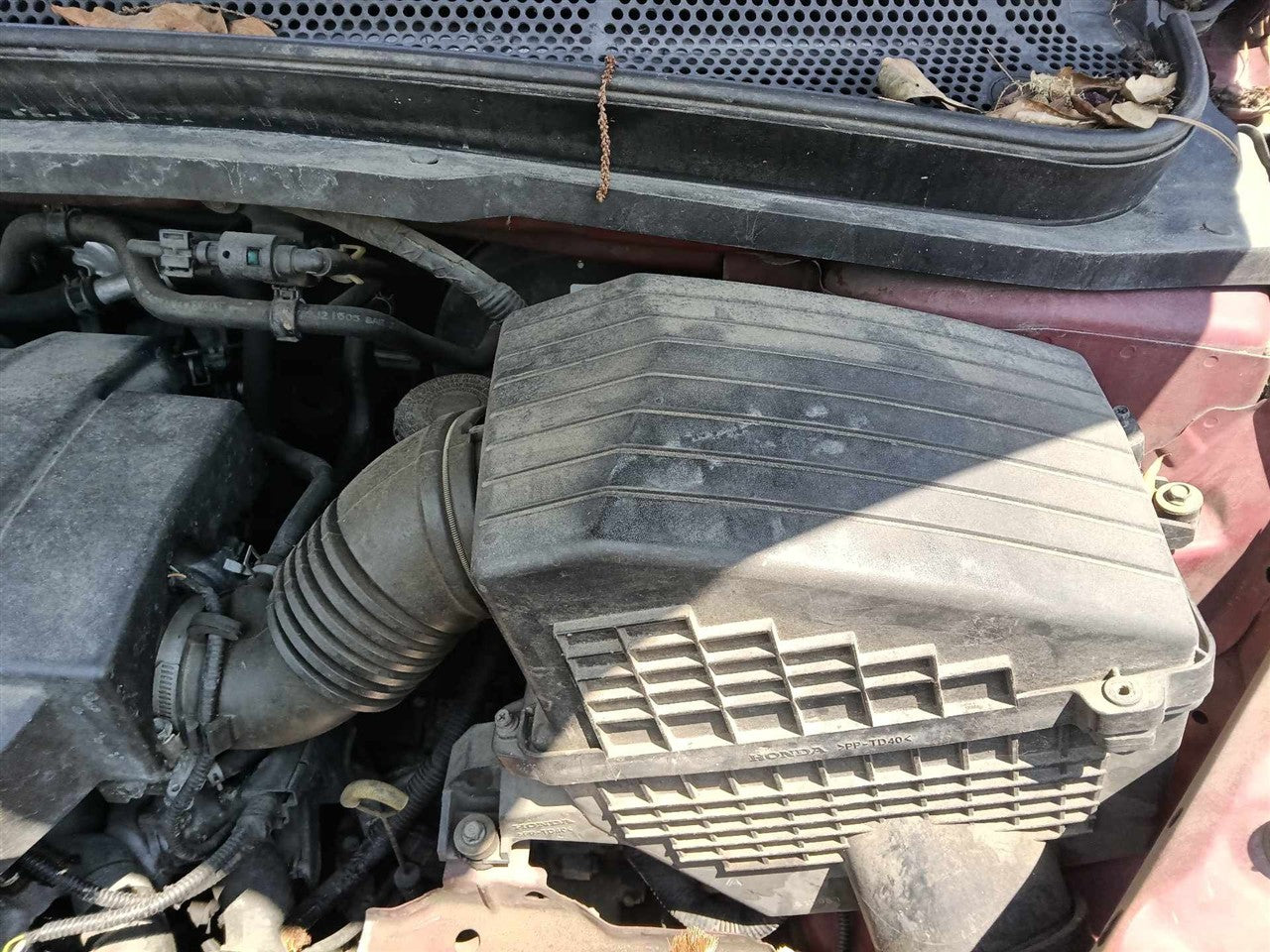 2005 2006 Honda Odyssey Air Cleaner Intake Filter Box 3.5L